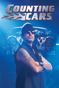 titta-Counting Cars-online