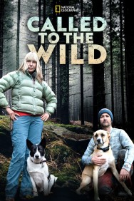 titta-Called to the Wild-online