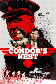 titta-Condor's Nest-online