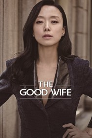 titta-The Good Wife-online