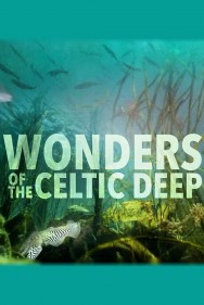 titta-Wonders of the Celtic Deep-online