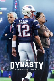 titta-The Dynasty: New England Patriots-online